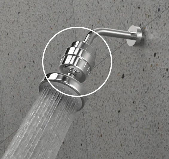 Puretec Shower Filter